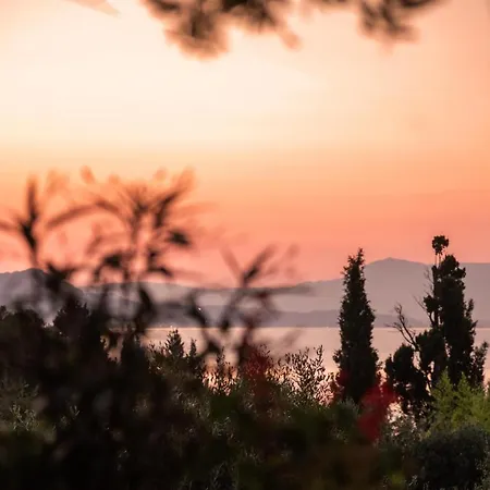 Paradise فيلة Kouspádhes